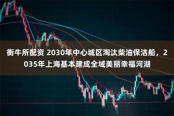 衡牛所配资 2030年中心城区淘汰柴油保洁船,2035年上海基本建成全域美丽幸福河湖